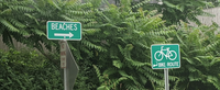 Image of two road signs in front of lush foliage. One reads "BIKE ROUTE" and the other "BEACHES"